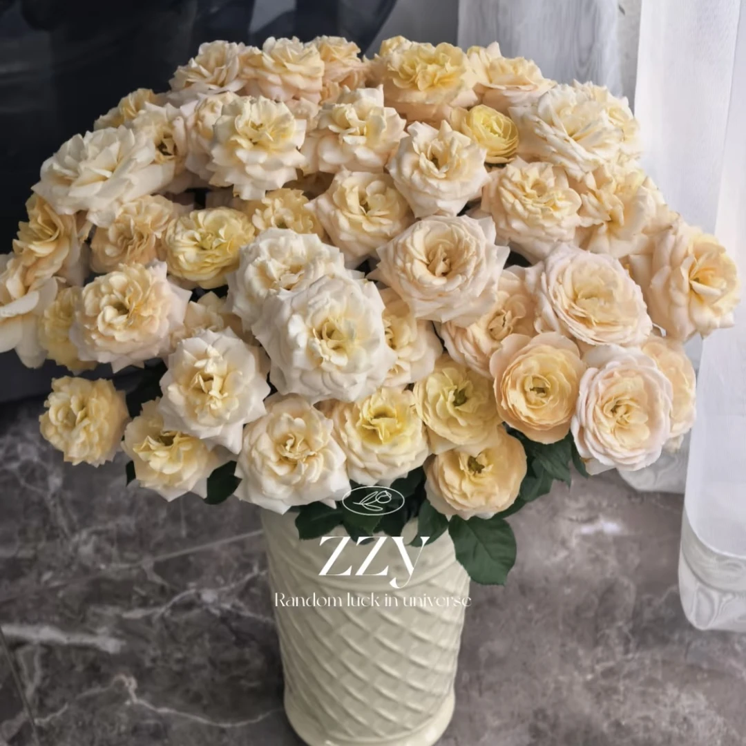 两单包邮！香芒起司玫瑰10支（20%不售后）