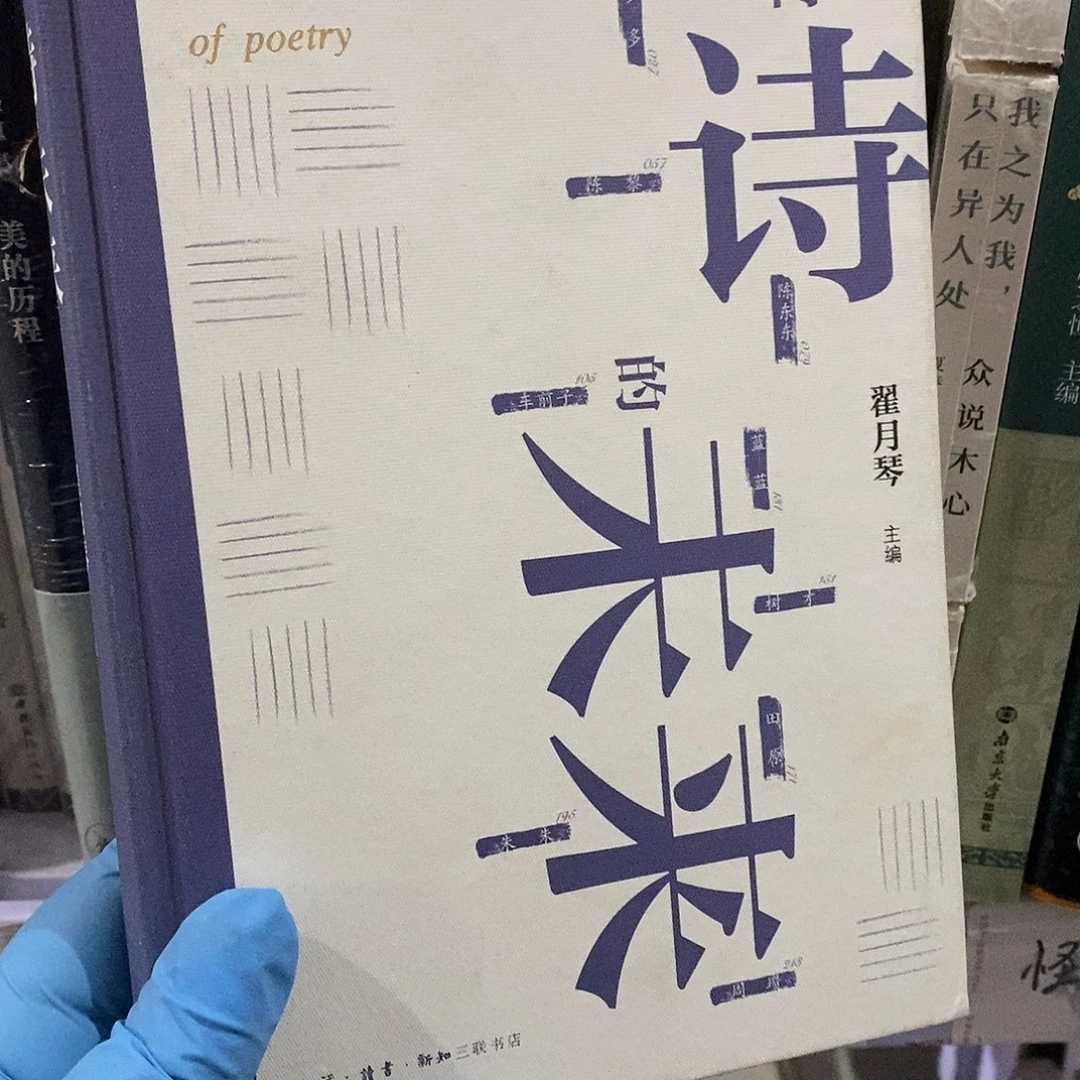 瑕疵  诗的未来