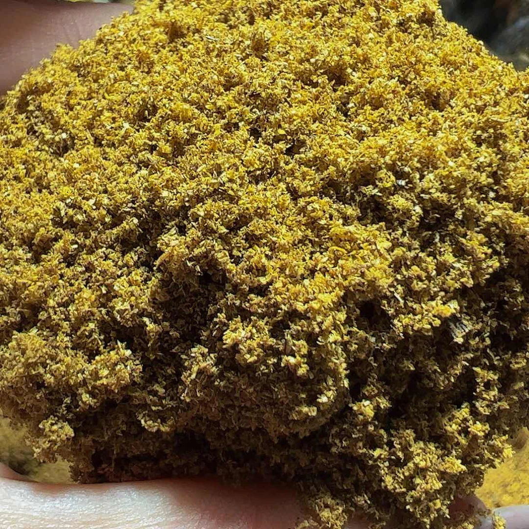 树脂制品绿棋楠乌身圆叶棋楠粉100