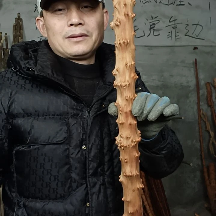 稳定木用****春贵州檬子木   铁马鞭   根艺  半成品