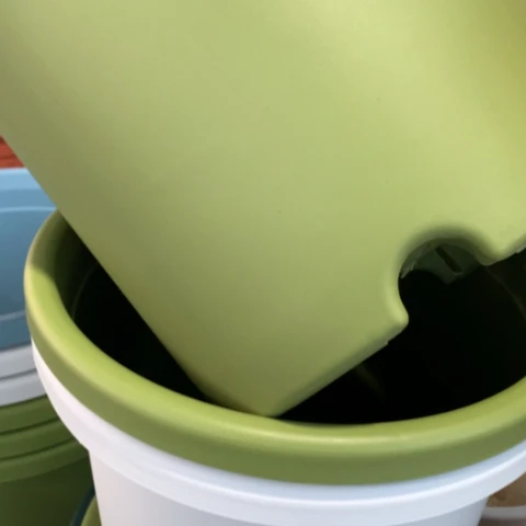 树脂5加果绿无托3个