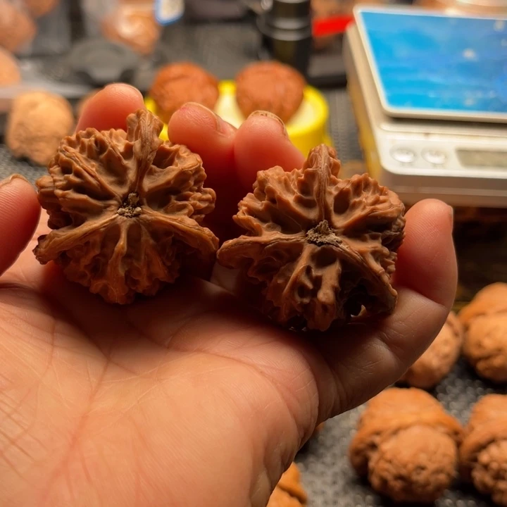 桃核把件全品三棱42