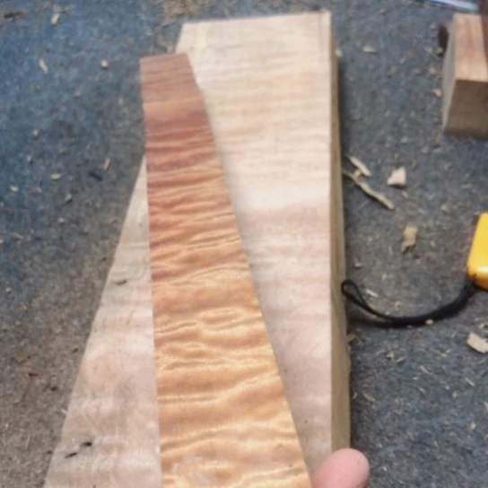 用***3大果紫檀（缅甸花梨）