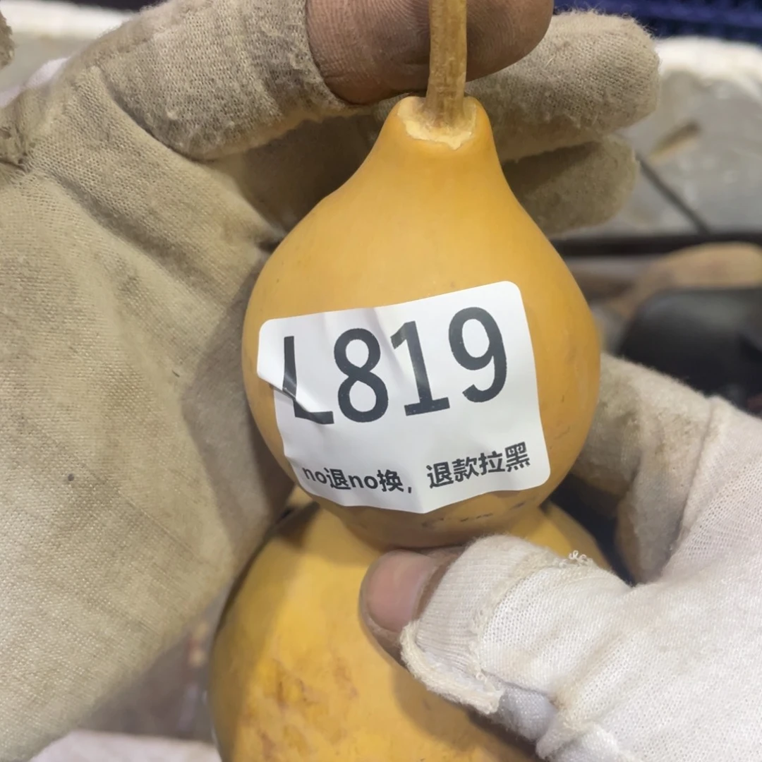 瓷片宝*金火爆热卖火爆热卖