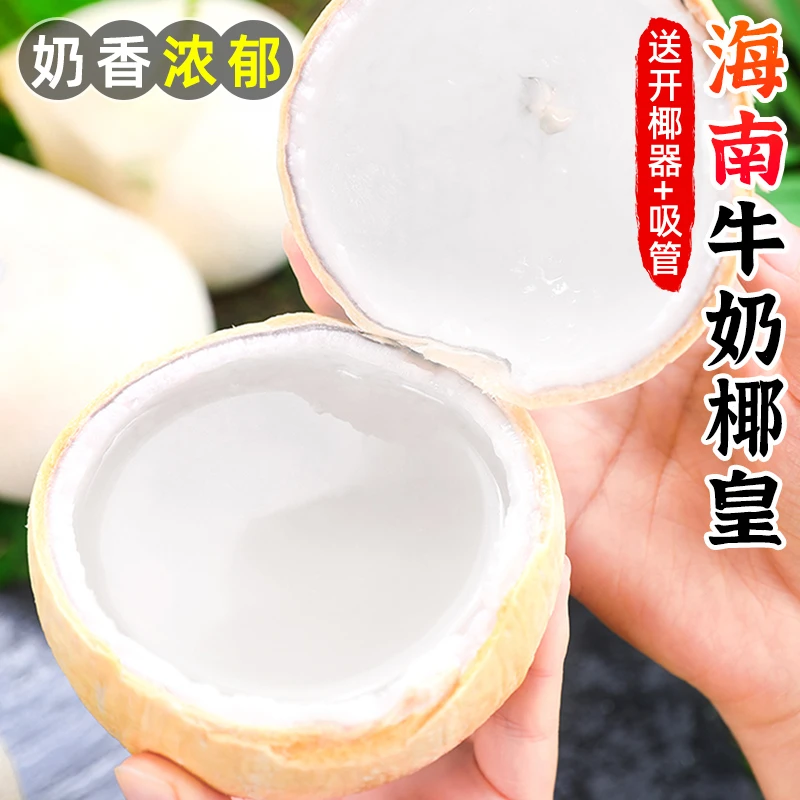 【椰香浓郁】海南牛奶椰皇2-9个毛椰椰青椰宝老椰子椰汁新鲜水果
