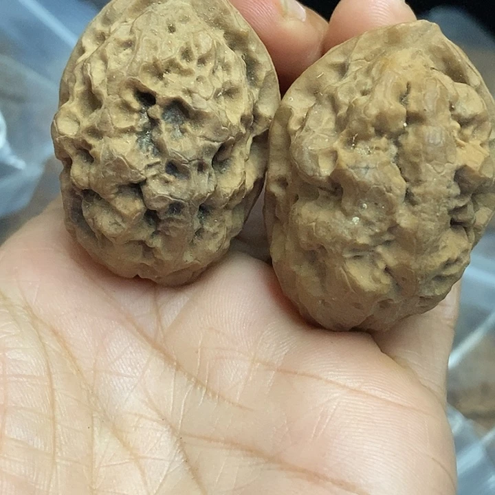 把件文玩核桃云南铁核桃基地88