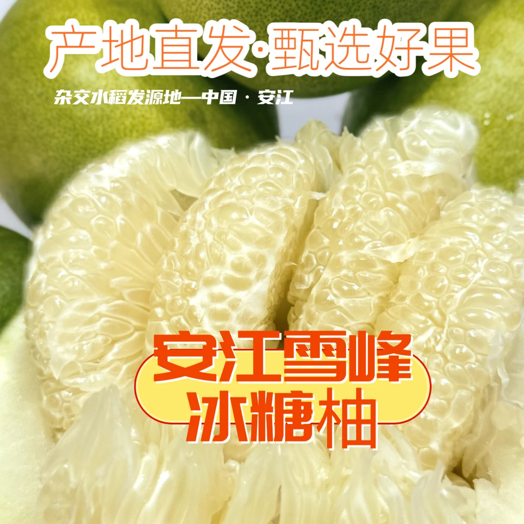 正宗安江雪峰冰糖柚小土柚高山老树柚子现摘现发