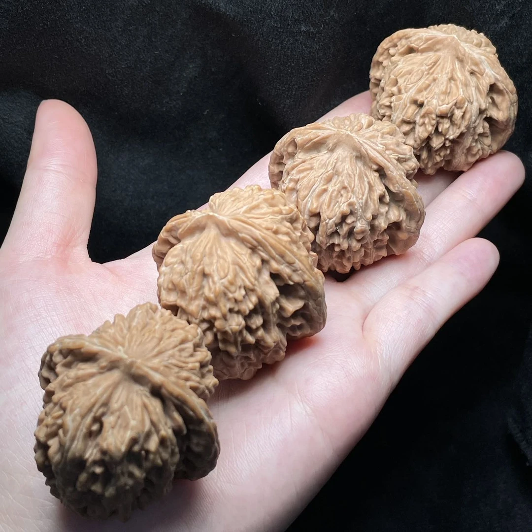 【棠木推荐】15 XM13307-核桃四座楼-多样性发一对-40mm-