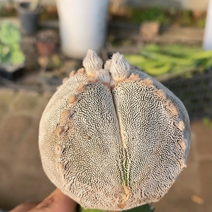 潜***化哈哈哈哈哈哈哈哈哈哈