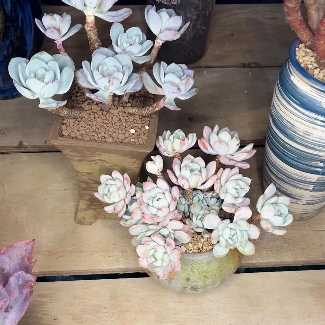 在这样一＂我。你的。你的，