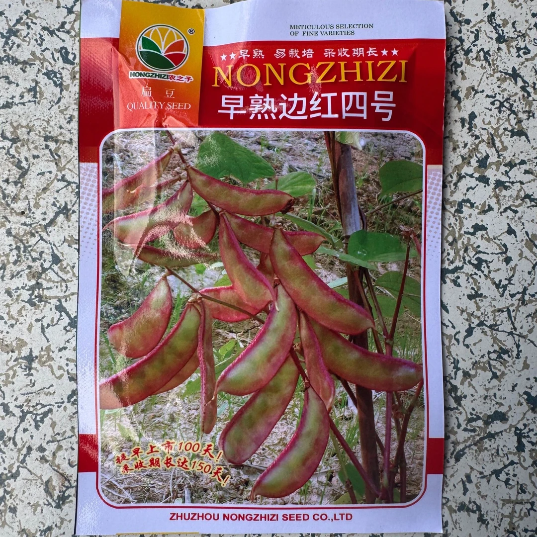 早熟边红4号扁豆