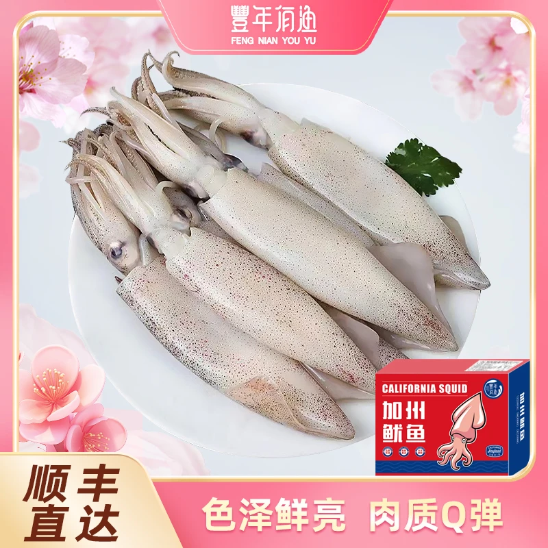 【丰年有渔】加州鱿鱼1200g*1箱精品礼盒装85%以上母体