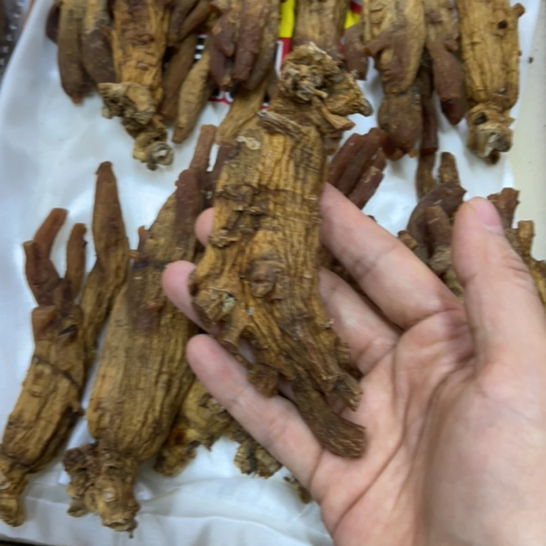 老高丽大马芽品种无糖二级微残参香浓郁滋补养生