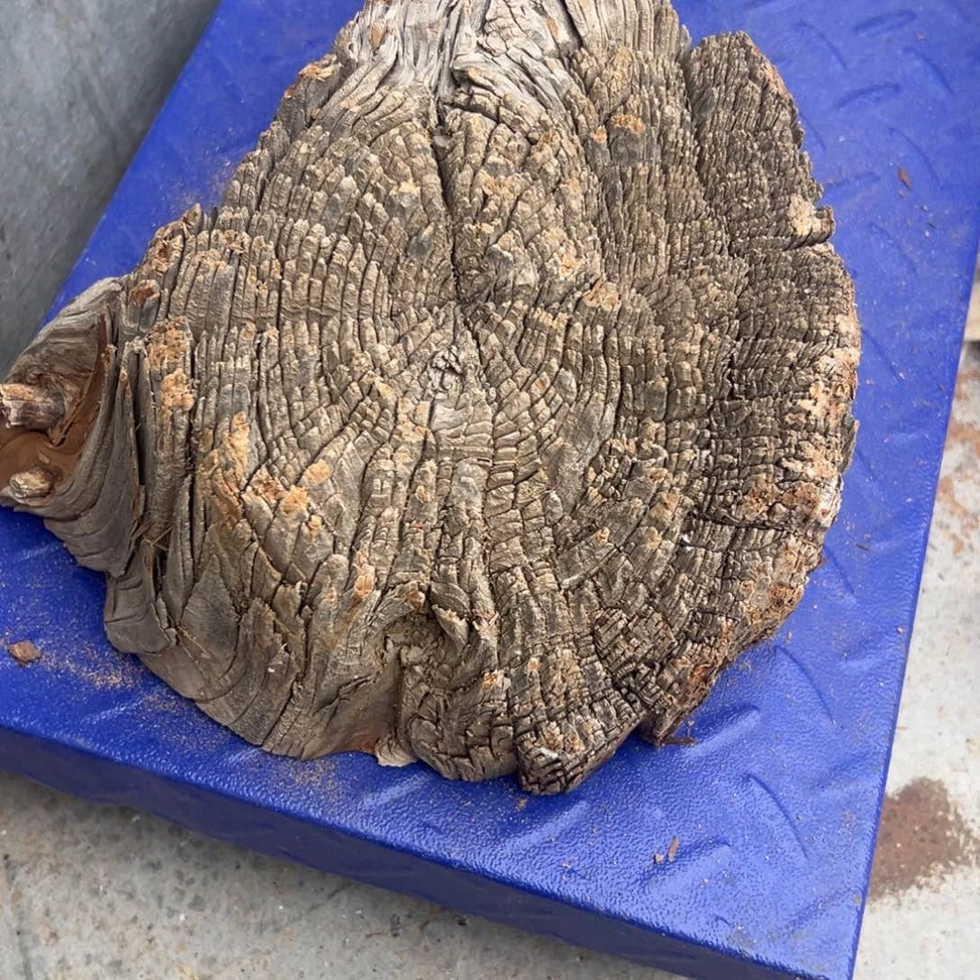 f***3柏木（崖柏）太行黑油茬头5斤多