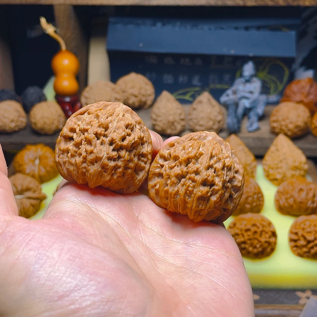 41尺全品野生三角楼子