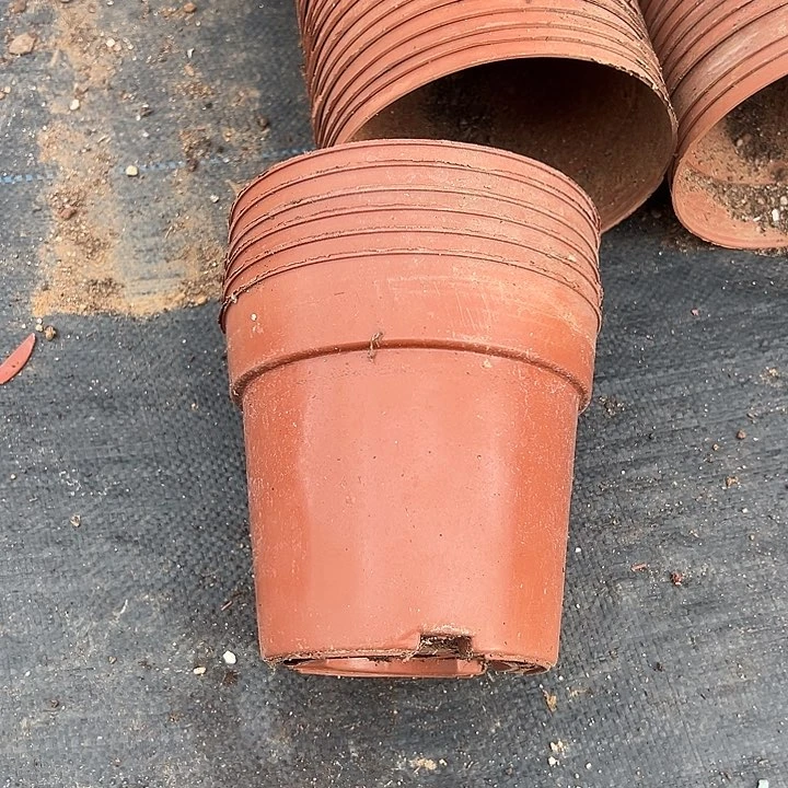 红色矮泡口径为14高12发40个