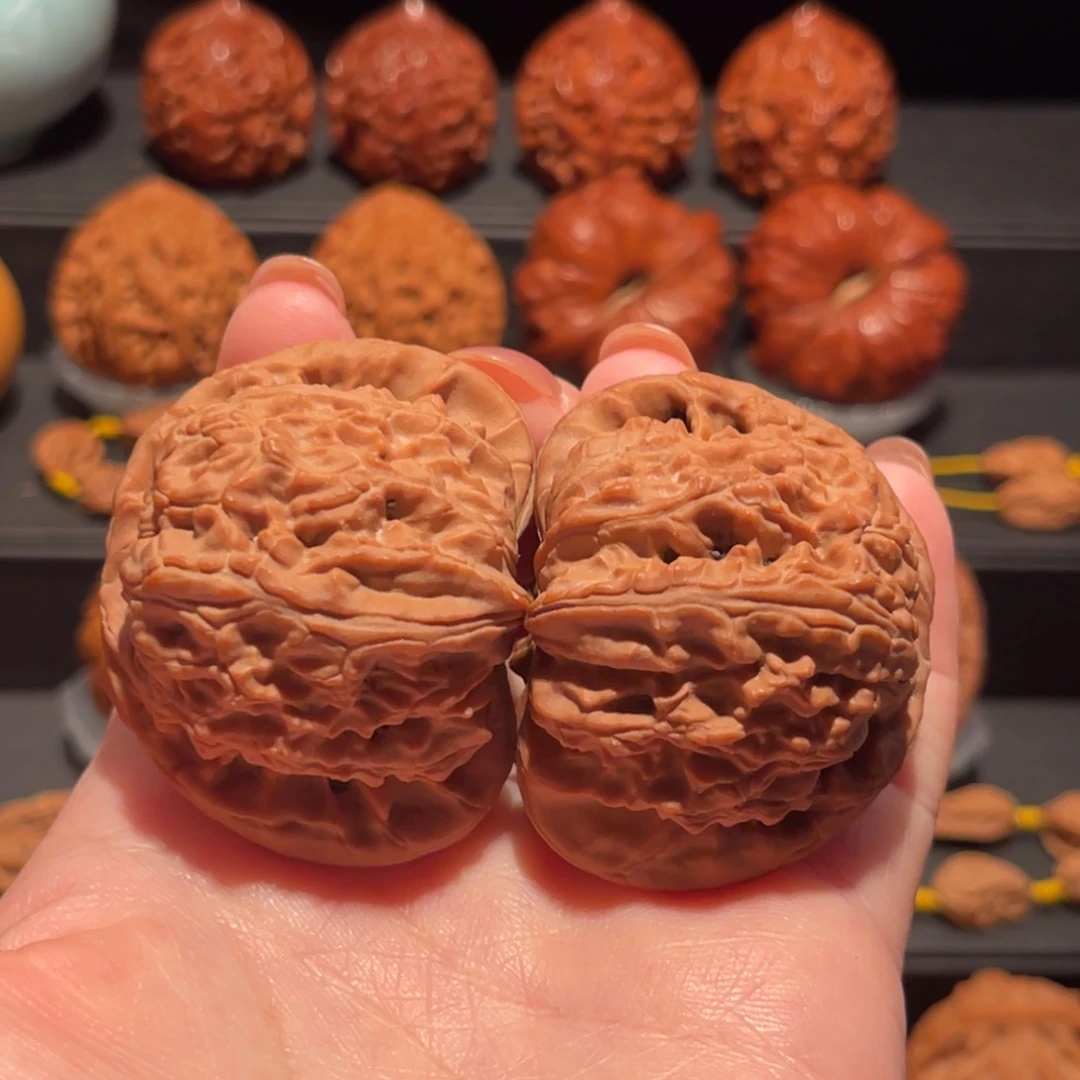 白狮子47精品，货头165