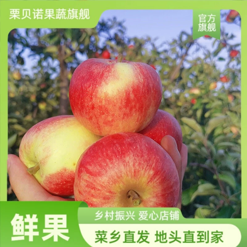 【顺丰】2025嘎啦苹果头茬现摘苹果丑苹果