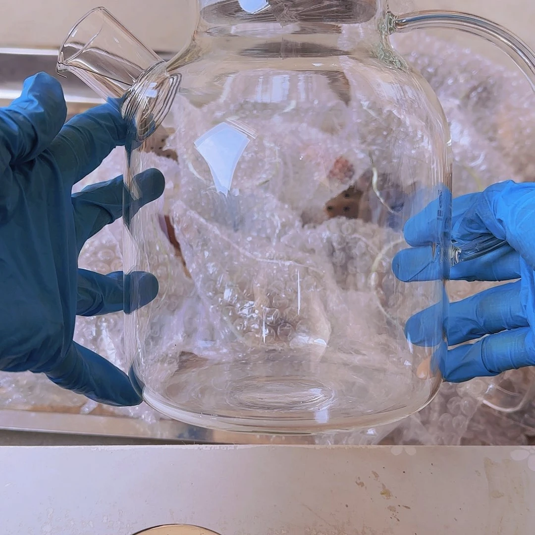 高硼硅玻璃茶水分离款瑕疵T1500 01