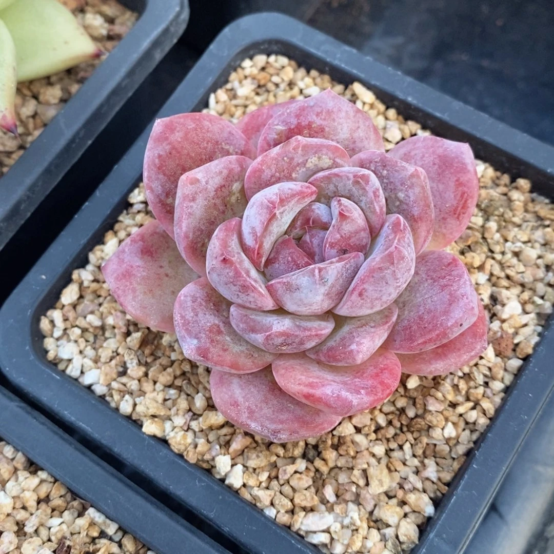 自然资源丰富等优势资源优势明显