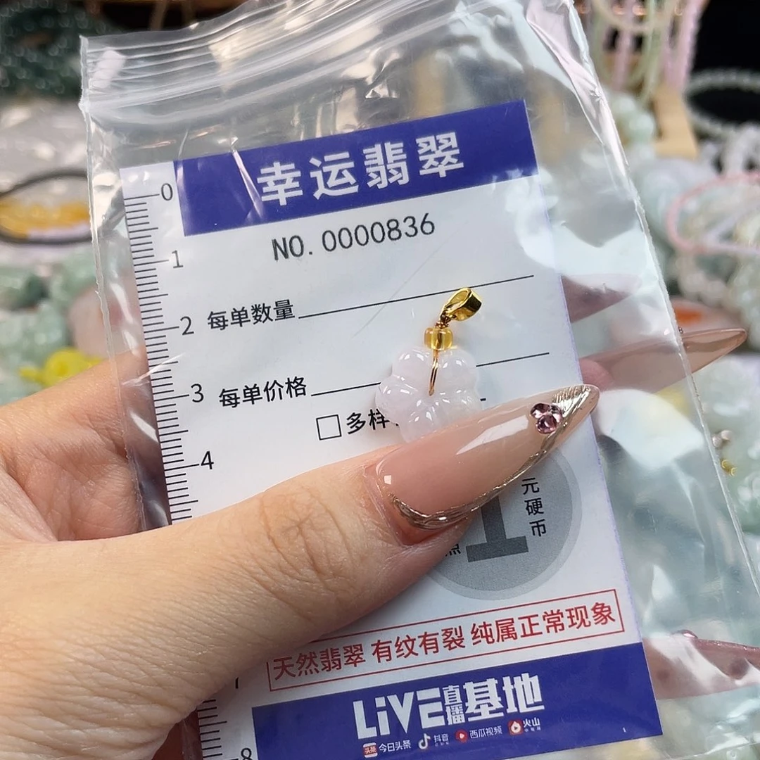 翡翠未镶嵌颈饰Hhh
