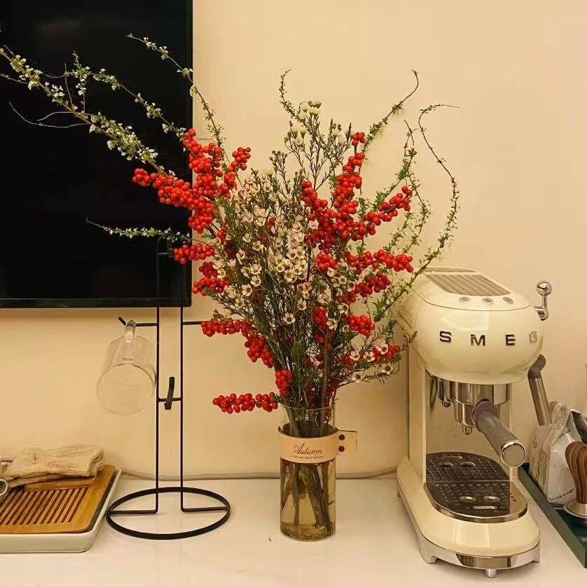 红梅水培鲜枝腊梅带花干枝梅花桃花树水养室内花卉盆栽鲜切绿植物