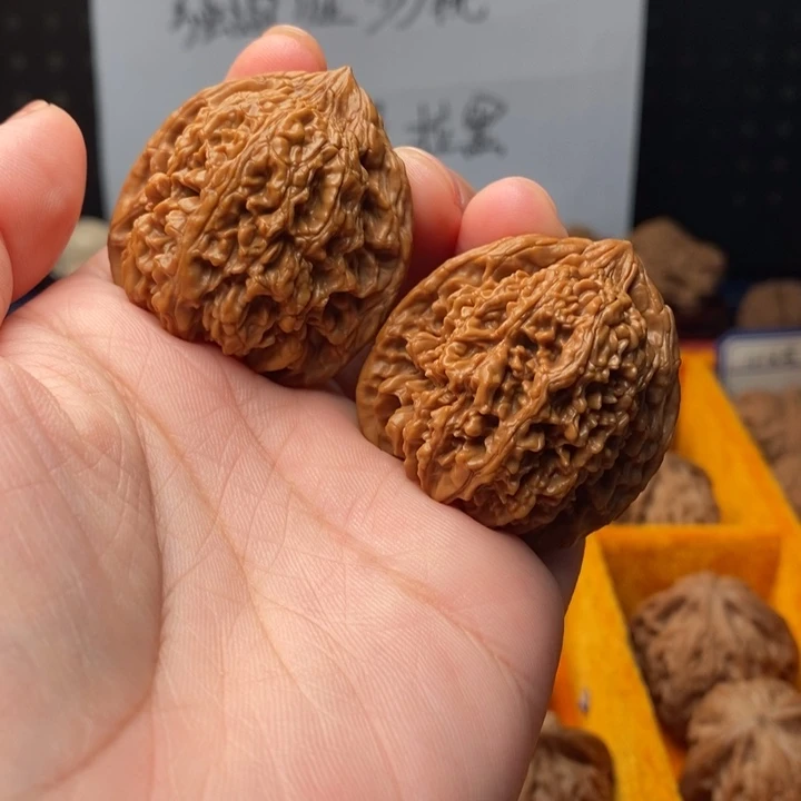 木质类38尺全品满天星