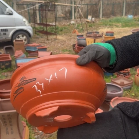 红陶紫砂花盆盆景盆栽