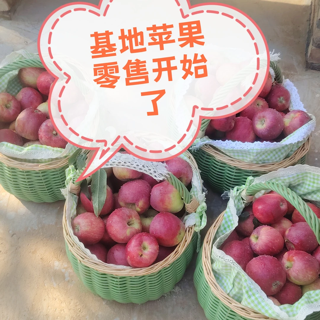尹喜庄园农夫果园高山鲁丽苹果