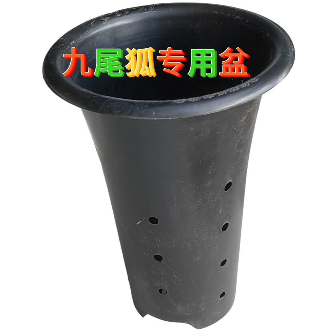 加厚加高塑料透气有侧兰花盆，九尾狐专用种植盆，高35cm内径24.cm。