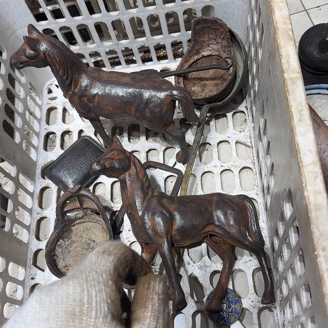 知***足一物一图看好在拍