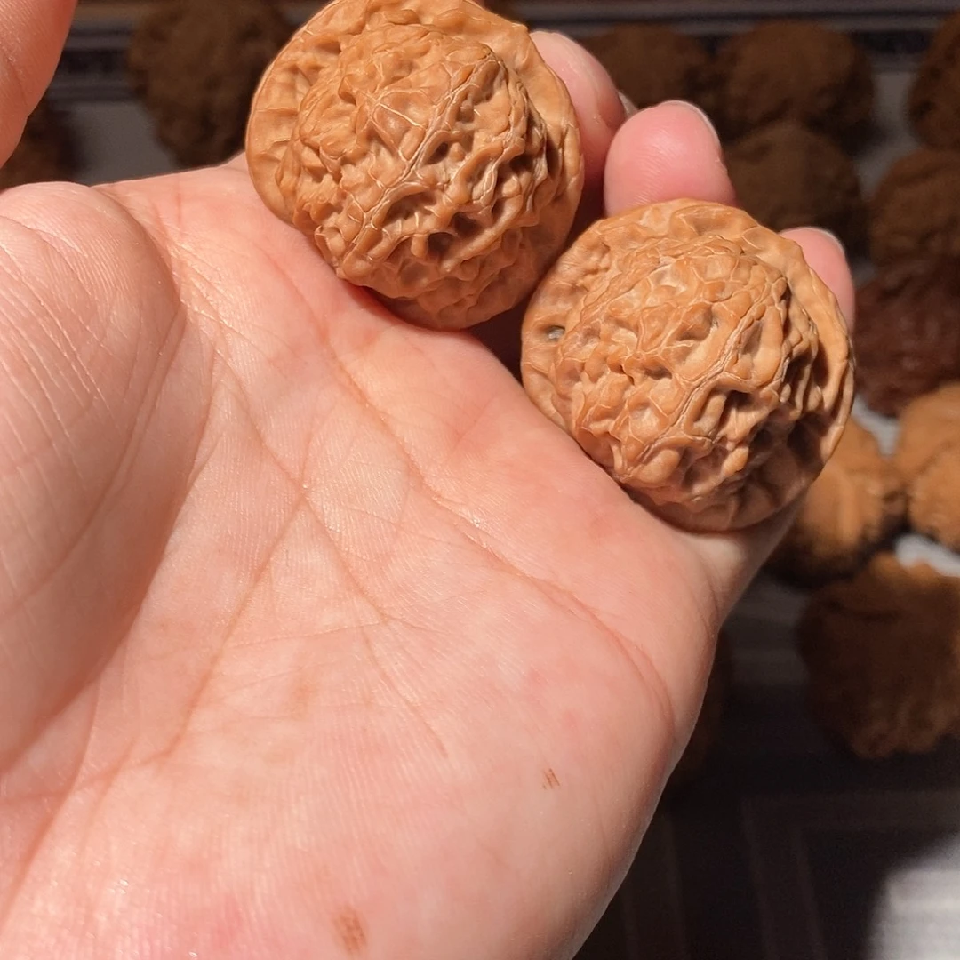 文玩核桃把件007金丹36尺全品头货