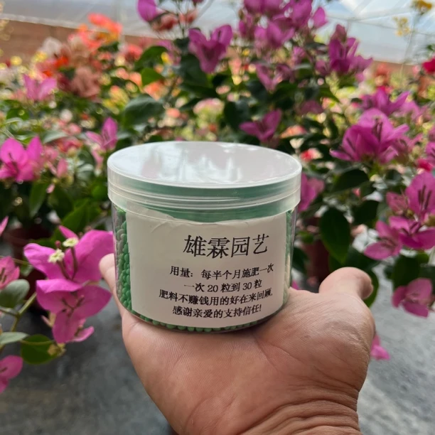 自家基地适用三角梅纯硫酸钾颗粒250克