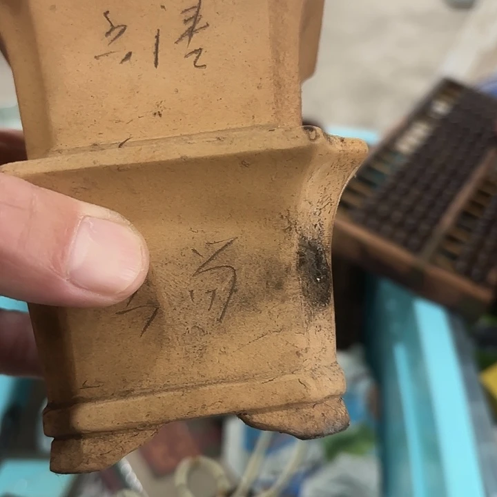 红***了杂色豆（科檀/科特迪瓦檀木）