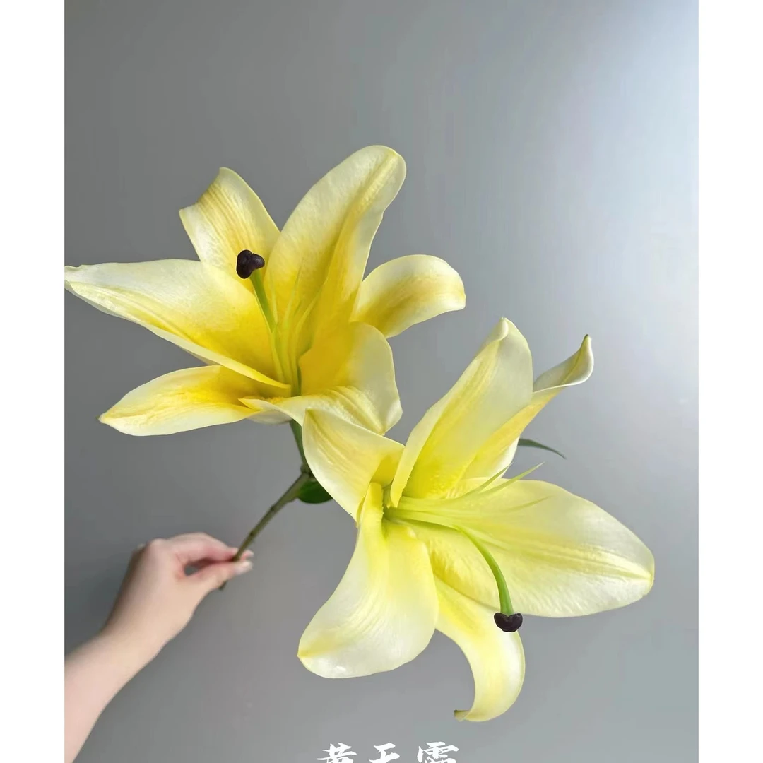 百合-黄天霸-5枝2头