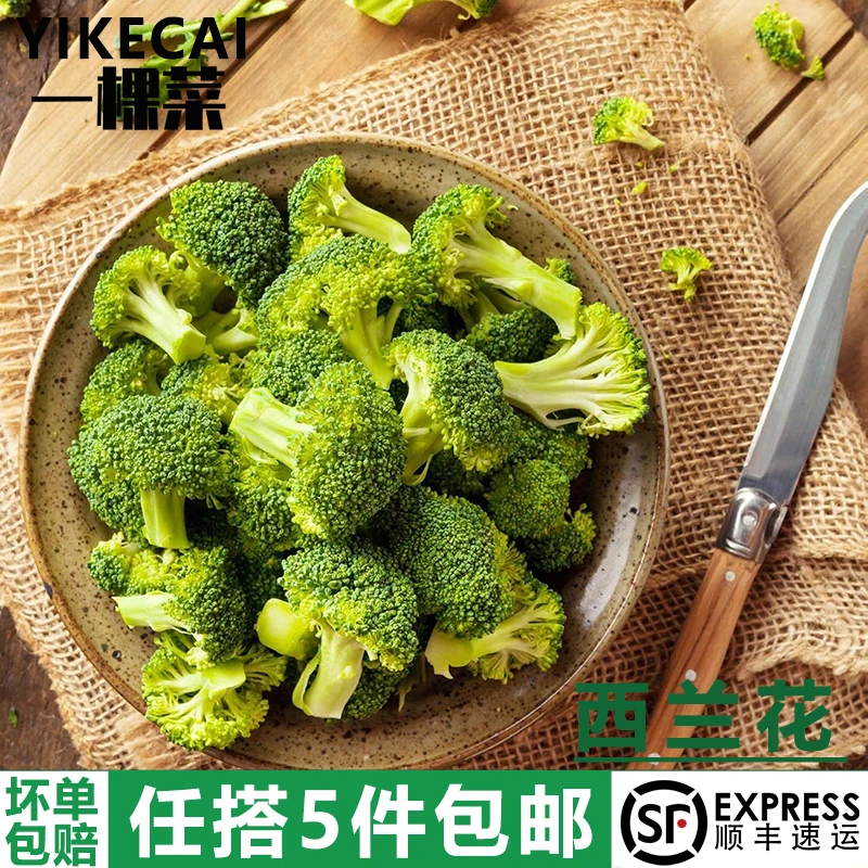 【YIKECAI】西兰花500g 小朵西兰花朵花菜绿花菜西蓝花椰菜农家菜