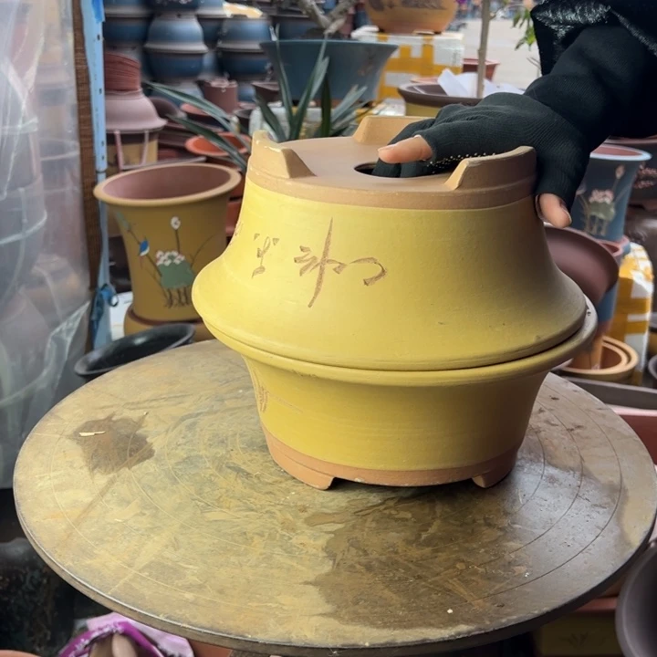 紫砂宜兴紫砂花盆26+26黄票口