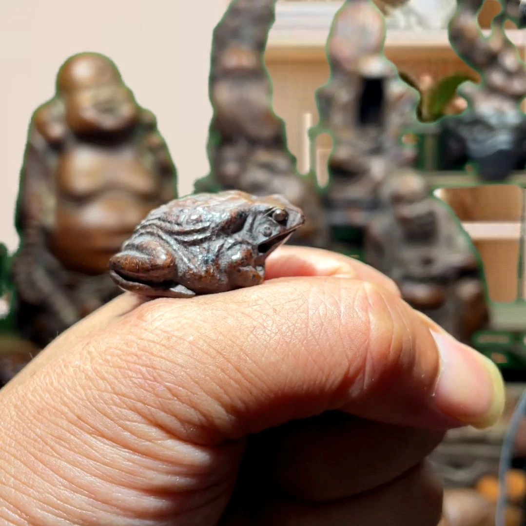 竹热闹矛盾问题不大不小