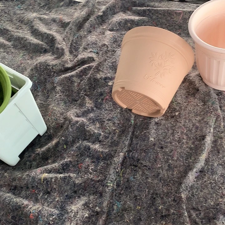 ****3个22.6口浮雕浅色无拖