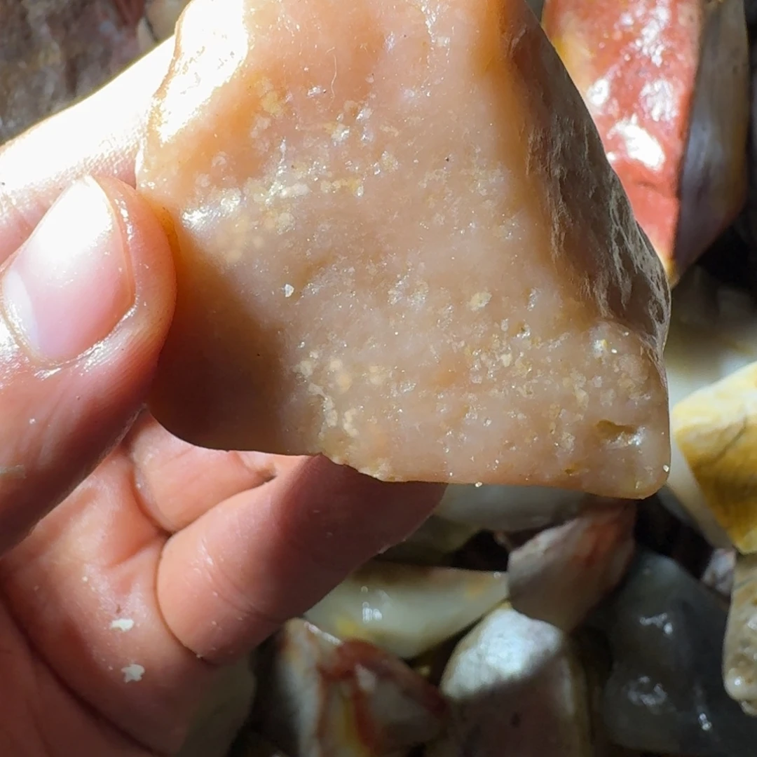 ****寒寿山石8998899889998888