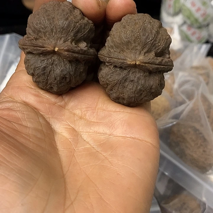 核桃云南铁核桃基地121