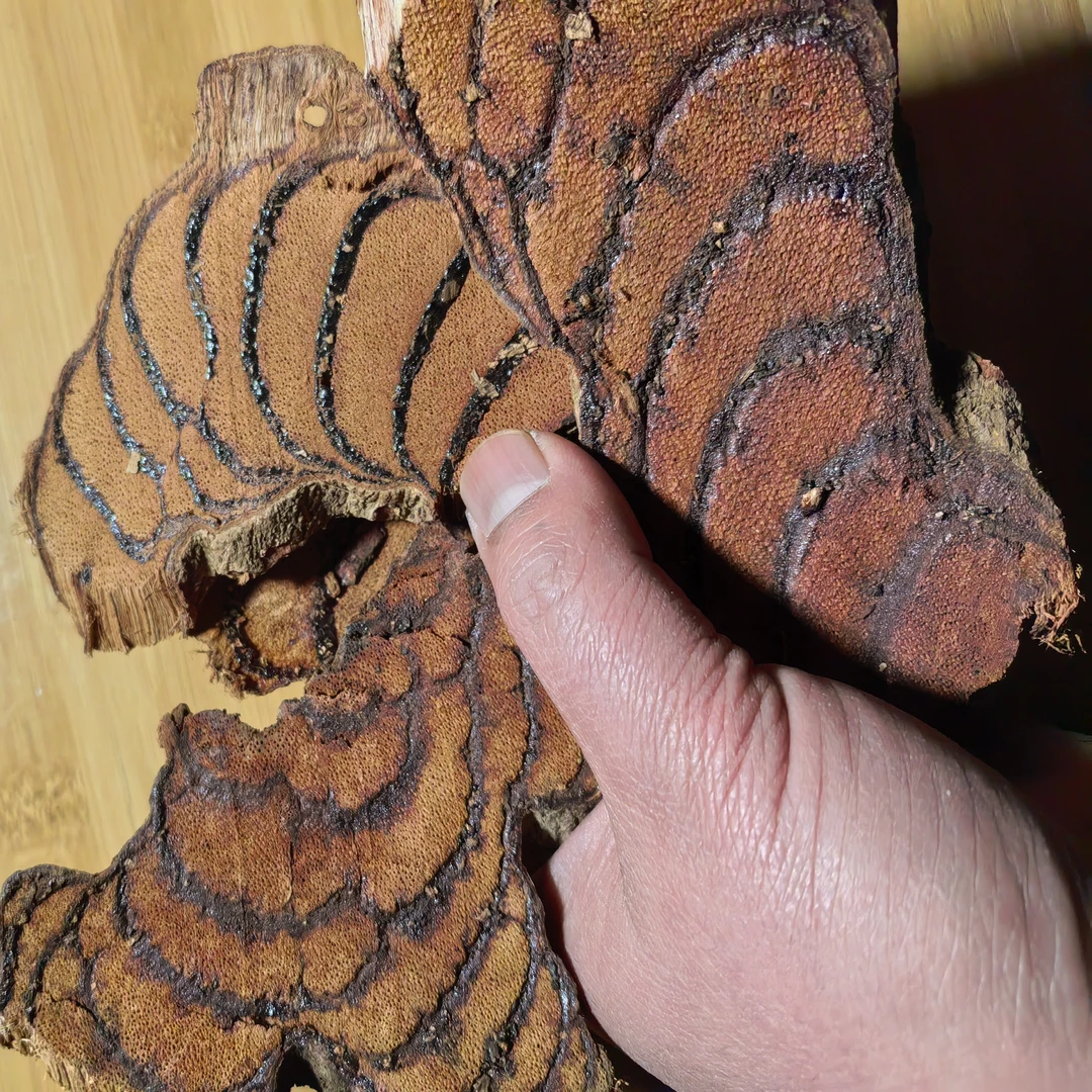 精品鸡血藤 芳溢本草传统滋补 枸杞 等多个品种