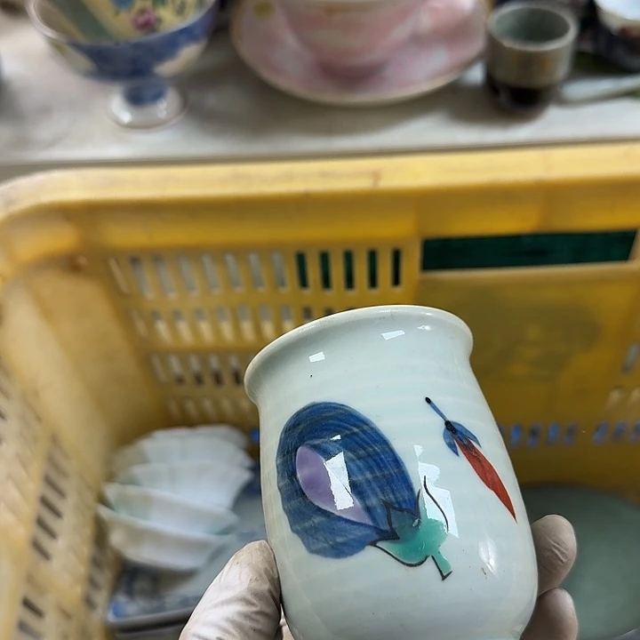 碟开播啦….开播啦