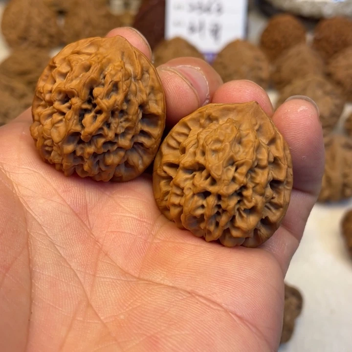 核桃其他欧**鹏秦岭核桃秦闷