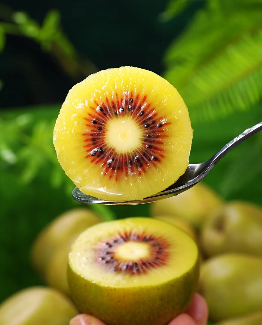 四川蒲江红心猕猴桃当季新鲜水果奇异果香甜可口包邮