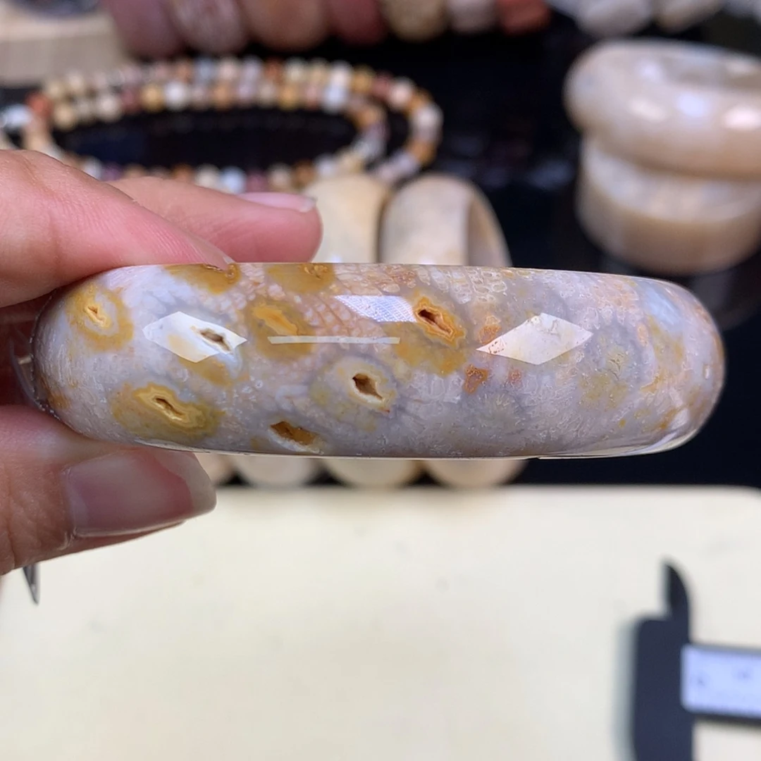 【闪购商品】颈饰未镶嵌硅化珊瑚（珊瑚玉）45号上新共生60.8圈