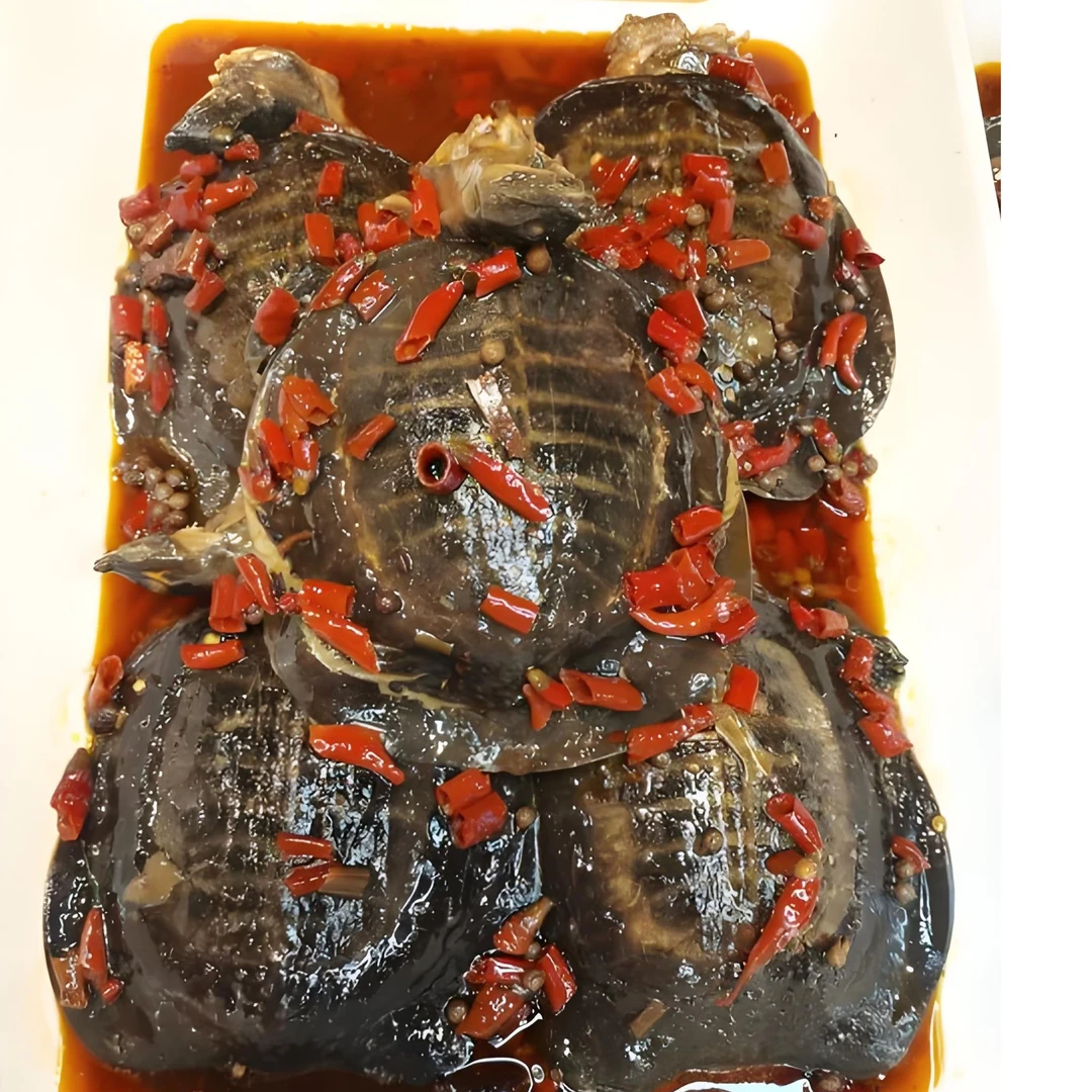湖北特产香辣卤甲鱼（只）