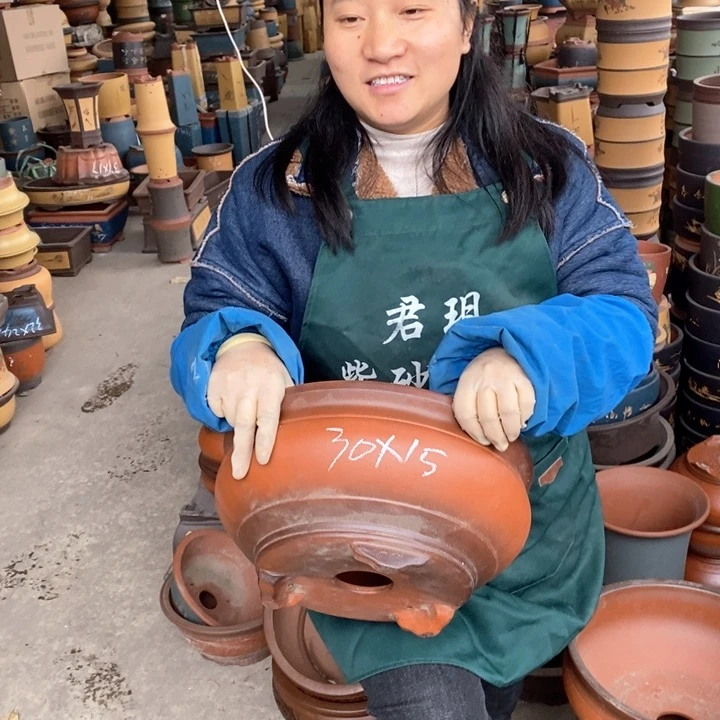 紫砂花盆盆栽花卉苗木种植