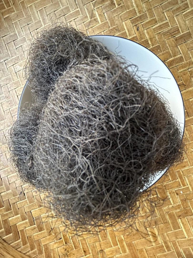 发财干货 日晒发菜干货 农产品发财 5个