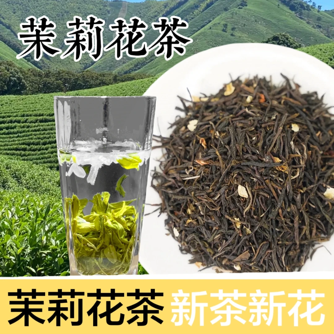 2025新茉莉花茶，浓香型馥郁花香